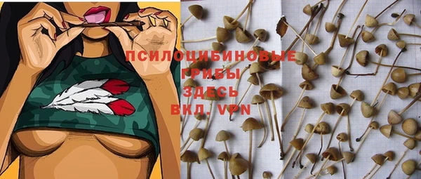 PSILOCYBIN Белоозёрский